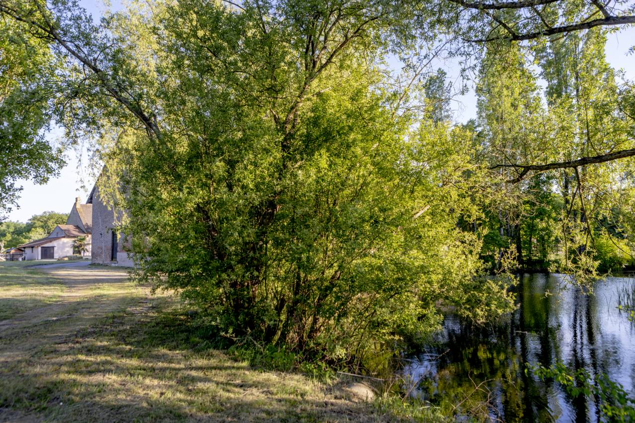 1005168_1780141337_6978.jpg