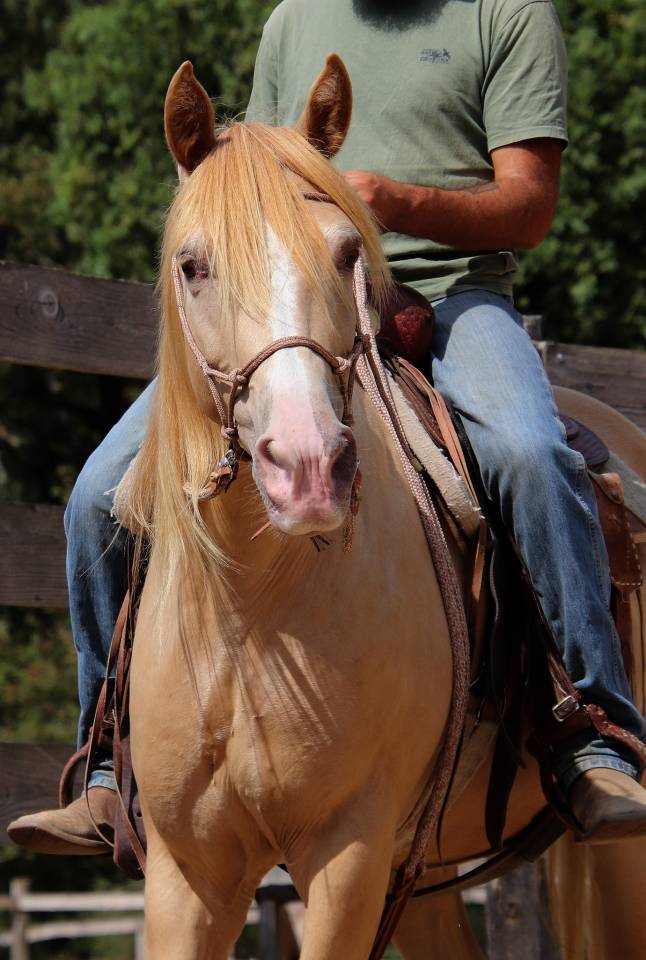 Rocky Mountain 10 ans
