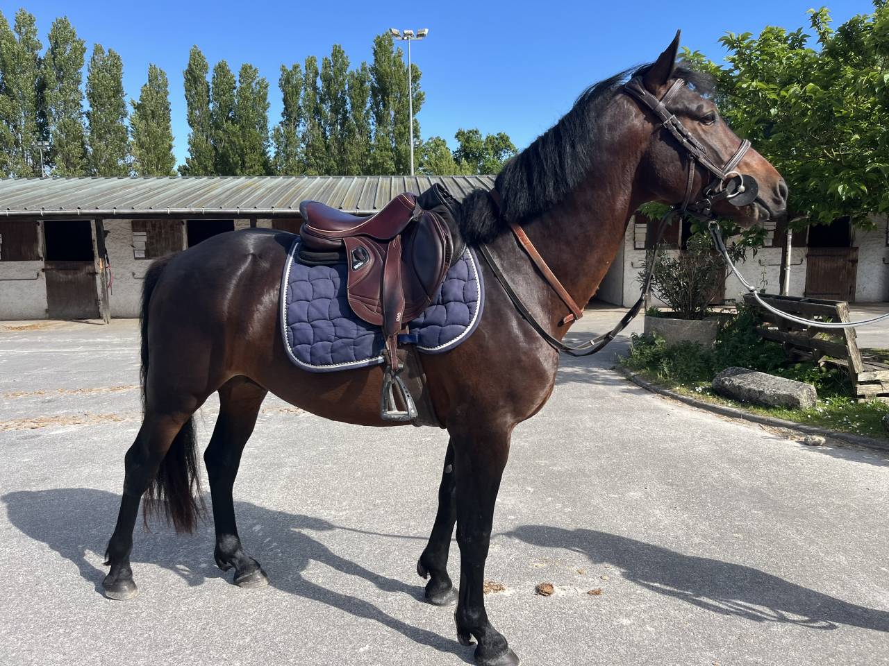 M&acirc;le PFS 4ans 