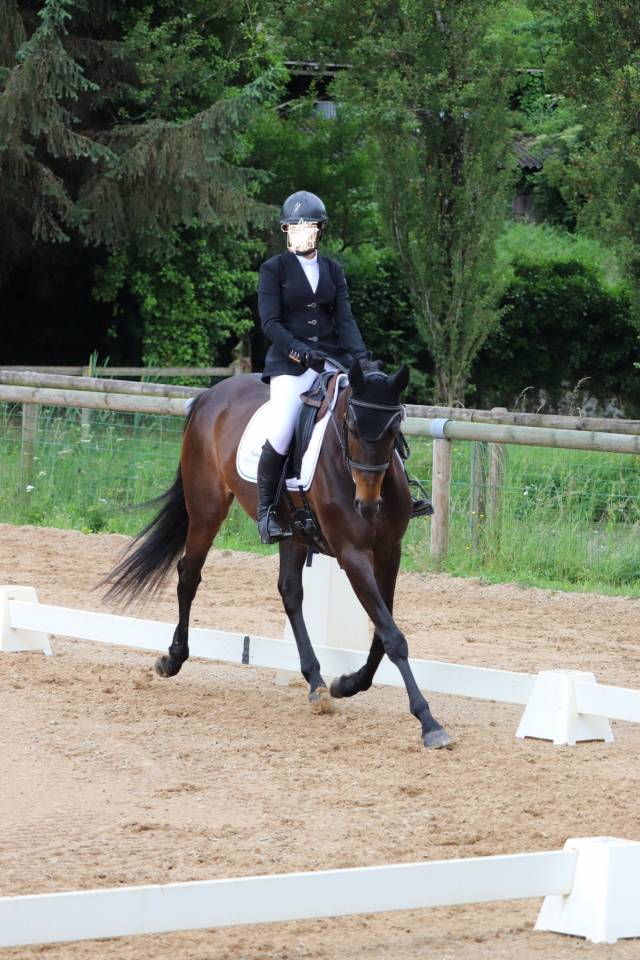 Jument 15 ans CSO/CCE 