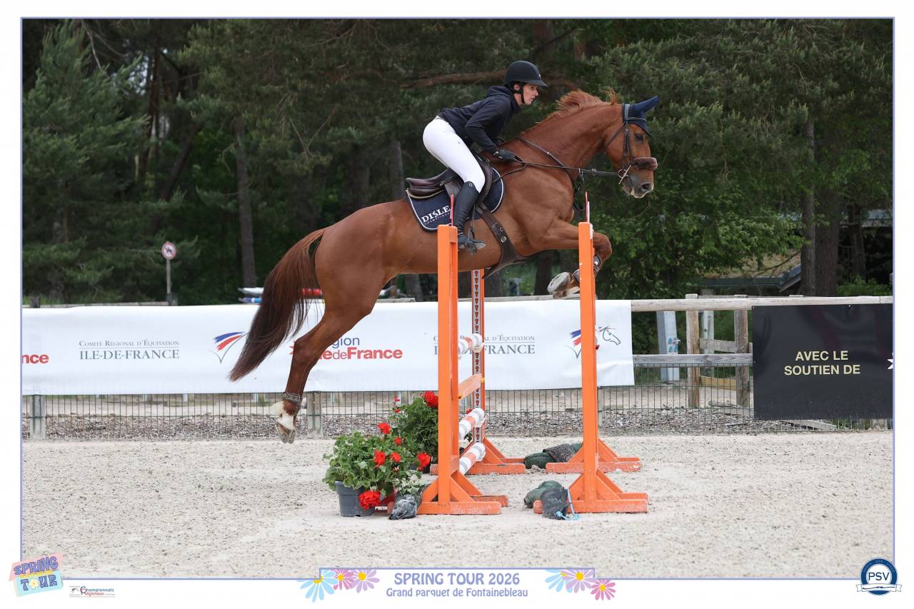 Top cheval de 10 ans 