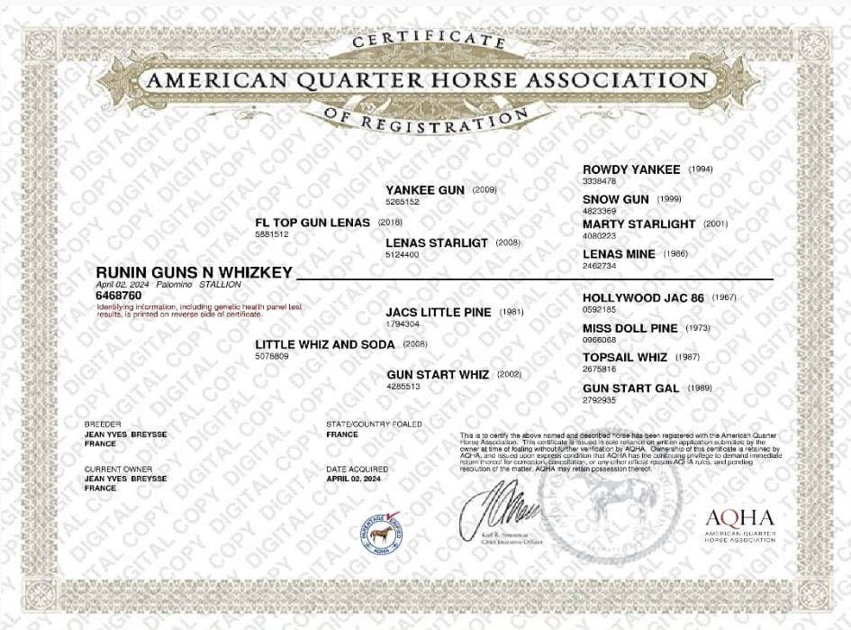 AQHA REINING / COWHORSE