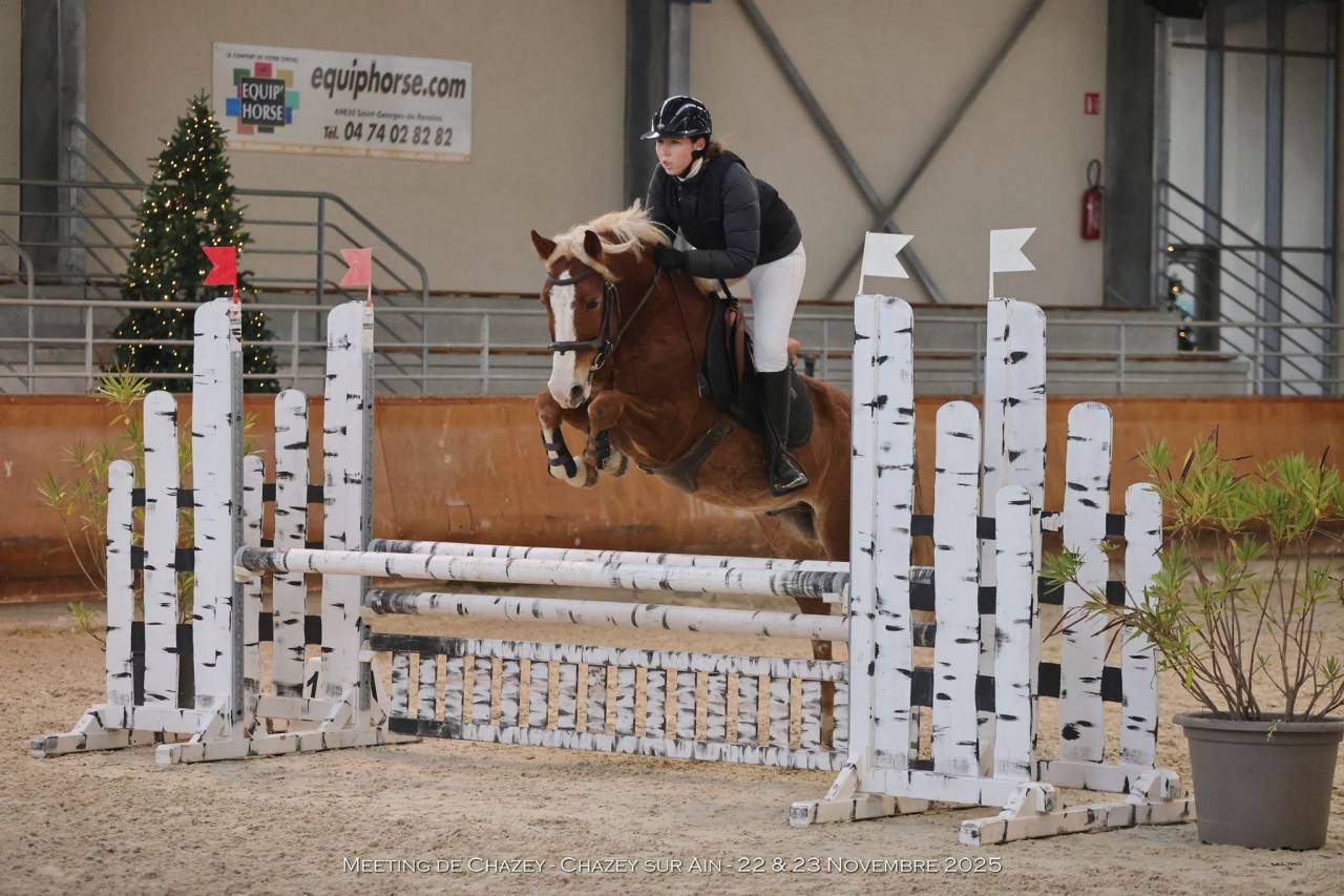 A vendre PFS 6 ans pour CSO