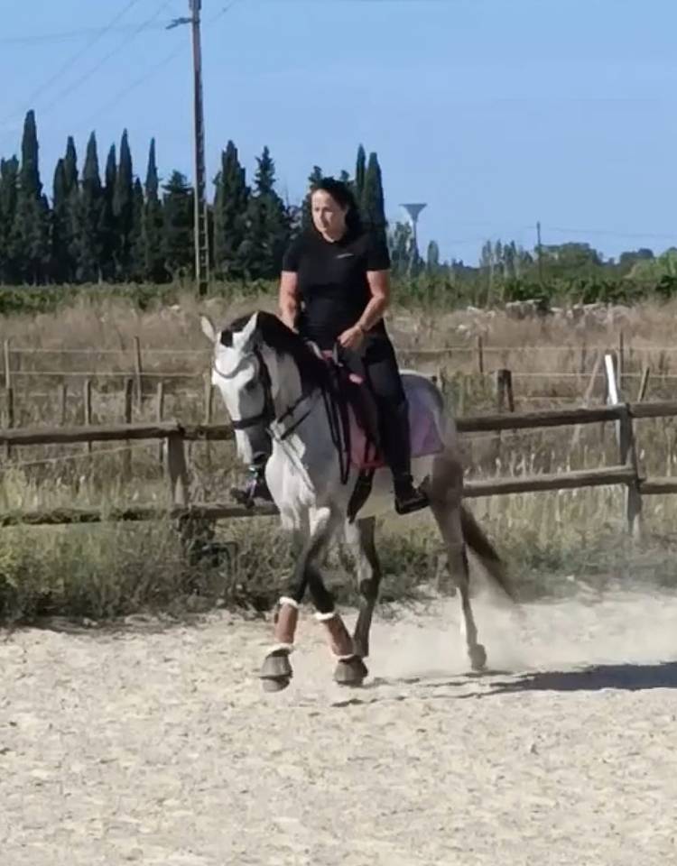 Pre pp 6 ans 