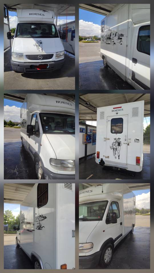 Camion chevaux VL OPEL MOVANO