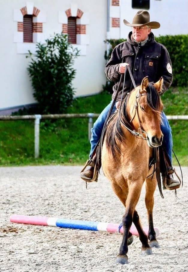 Jument lusitanienne /quarter horse