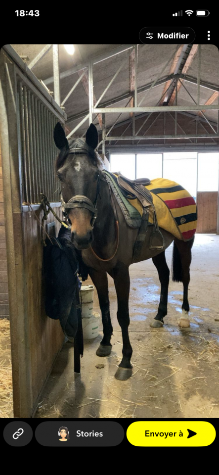 Vega l &eacute;toile ⭐️