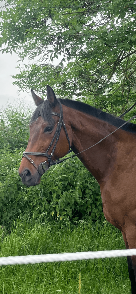 KING - 10ans - 1m70