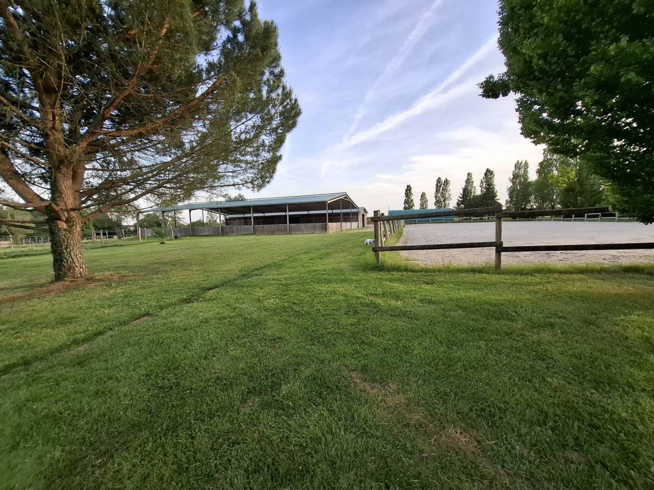 1005362_1780281078_8868.jpg
