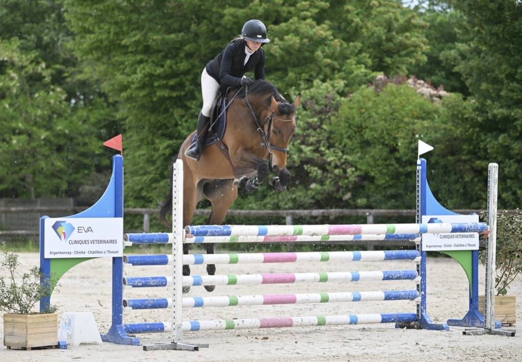 Hongre 5ans CSO amateur &eacute;lite 
