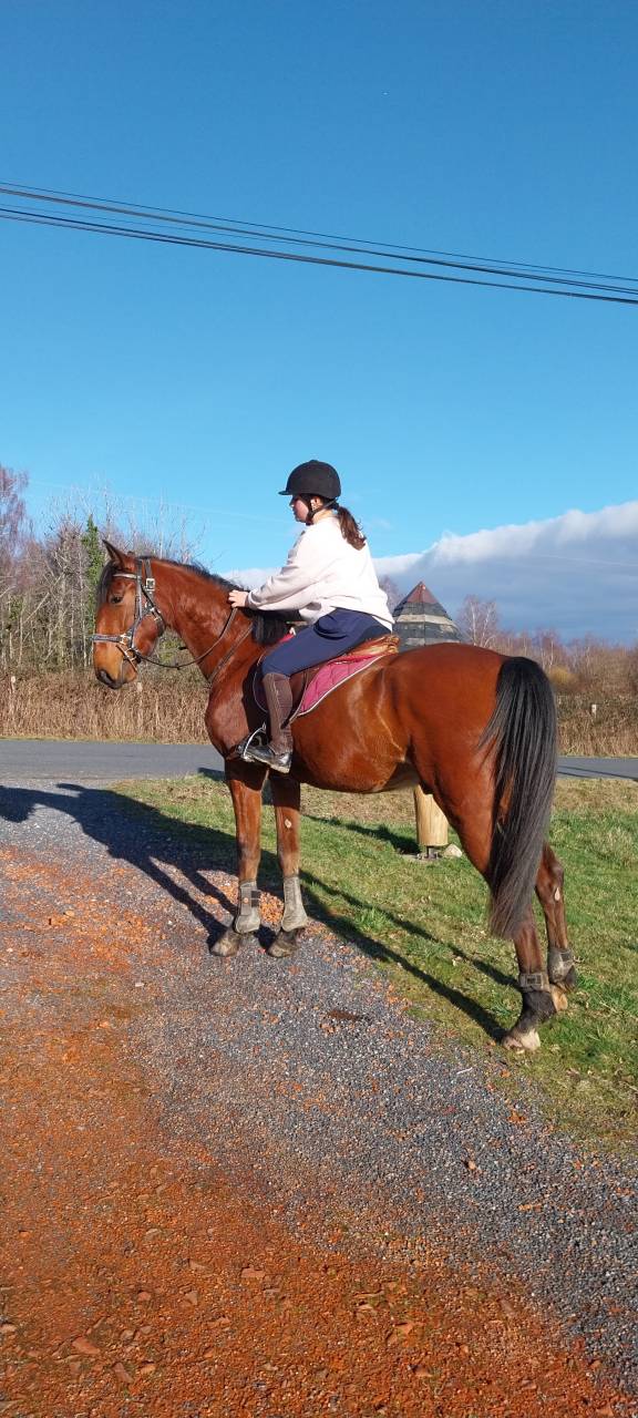 Trotteur 4 ans