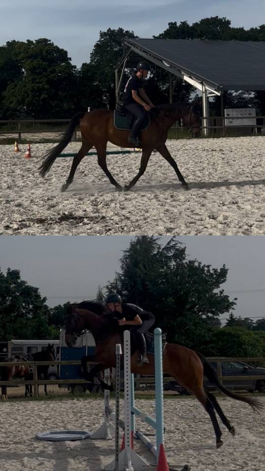 Top cheval 
