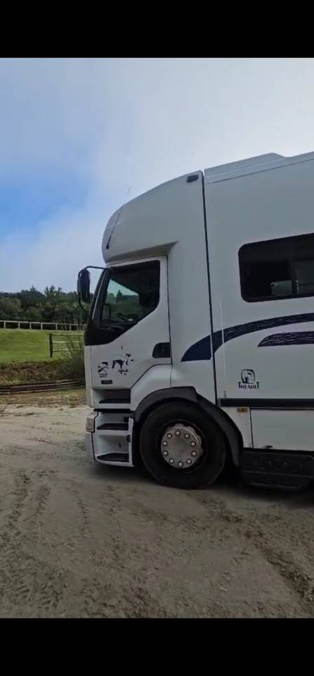 Camion de Transport de Chevaux &ndash; Longue Distance