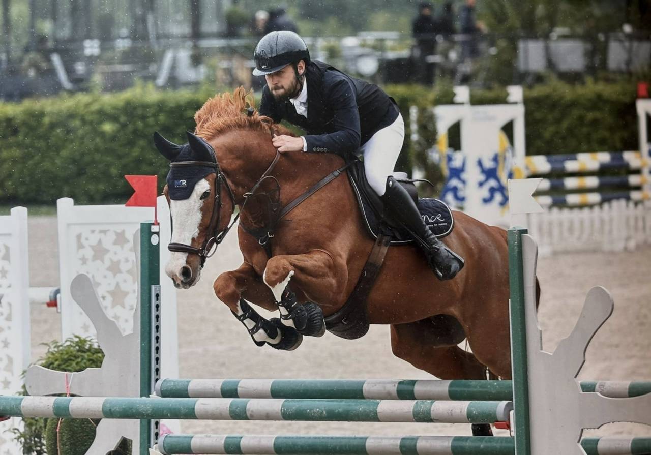 Super hongre de 9 ans pour Amateur &eacute;lite et plus