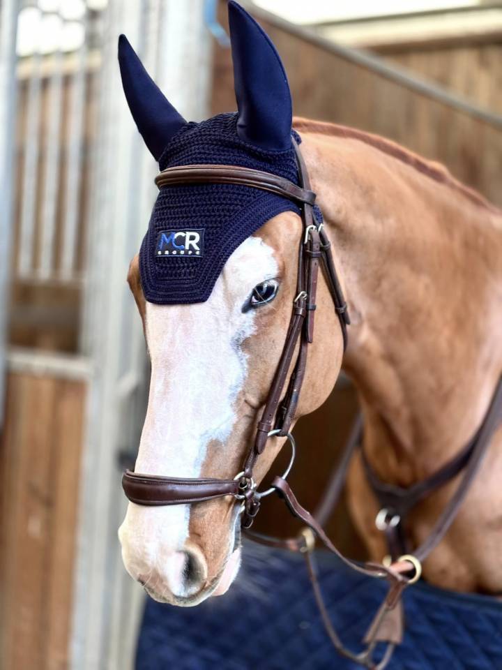 Super hongre de 9 ans pour Amateur &eacute;lite et plus