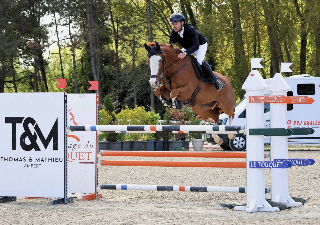 Super hongre de 9 ans pour Amateur &eacute;lite et plus