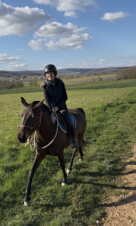 Pouliche pur sang lusitanien 5 ans 