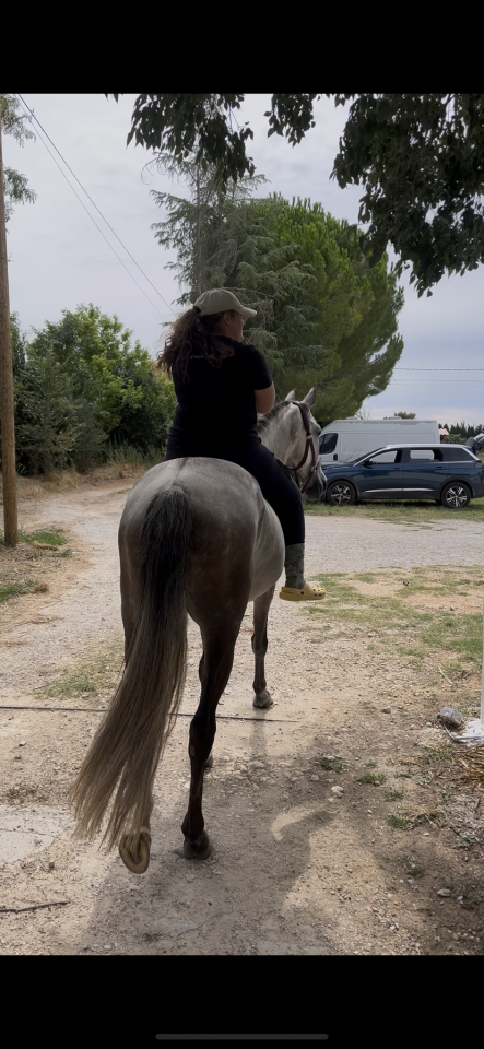 &Agrave; vendre pre pp 6 ans 