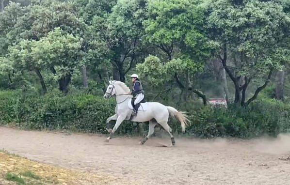 Cheval