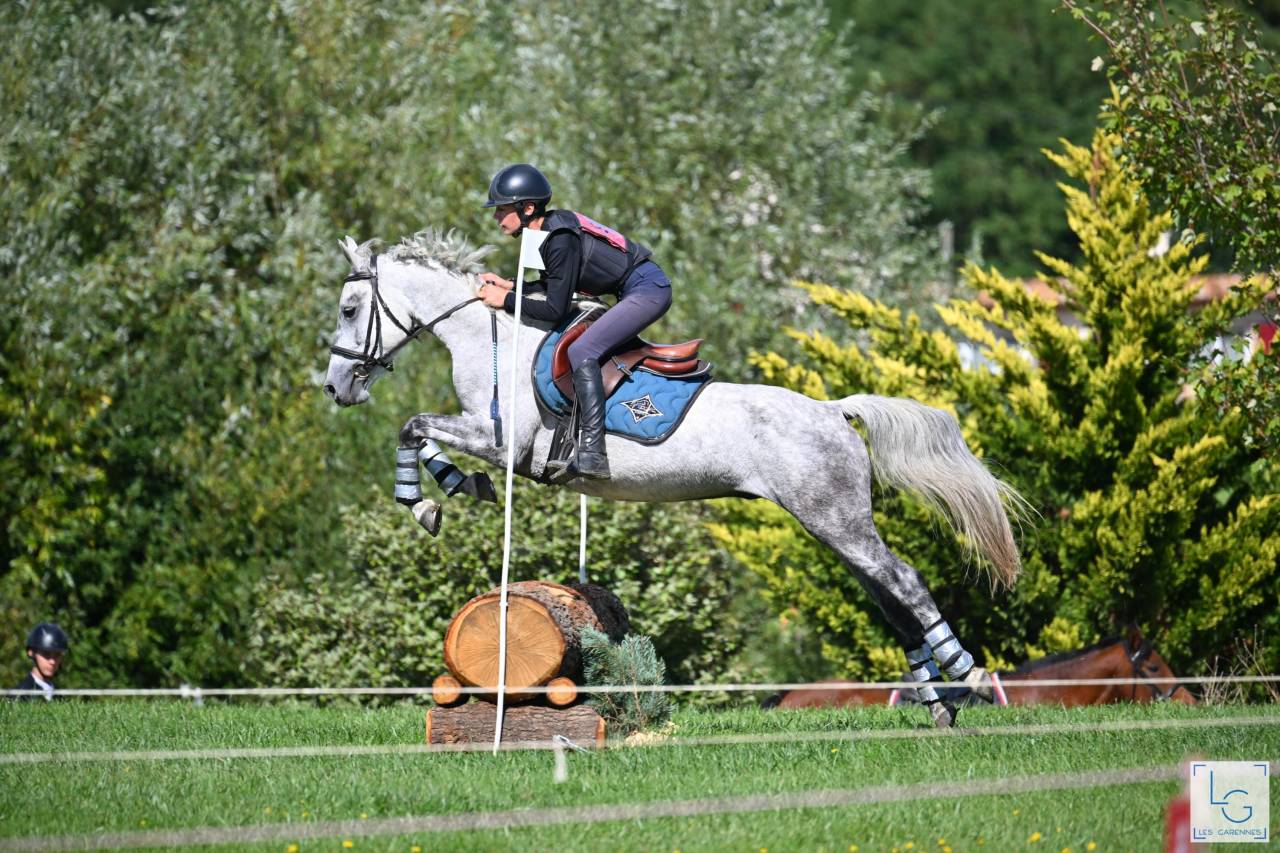 Poney en or &agrave; vendre 
