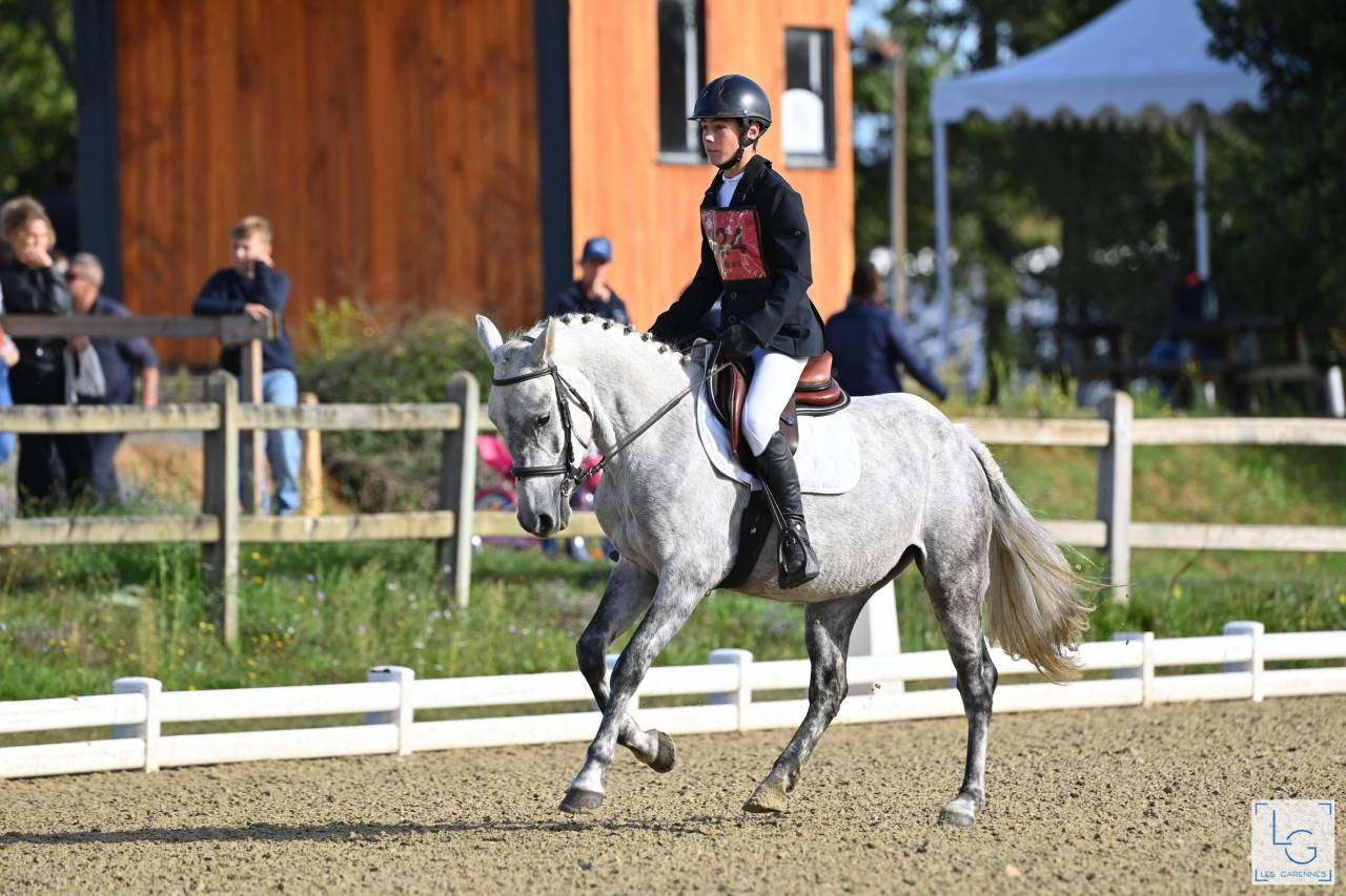 Poney en or &agrave; vendre 