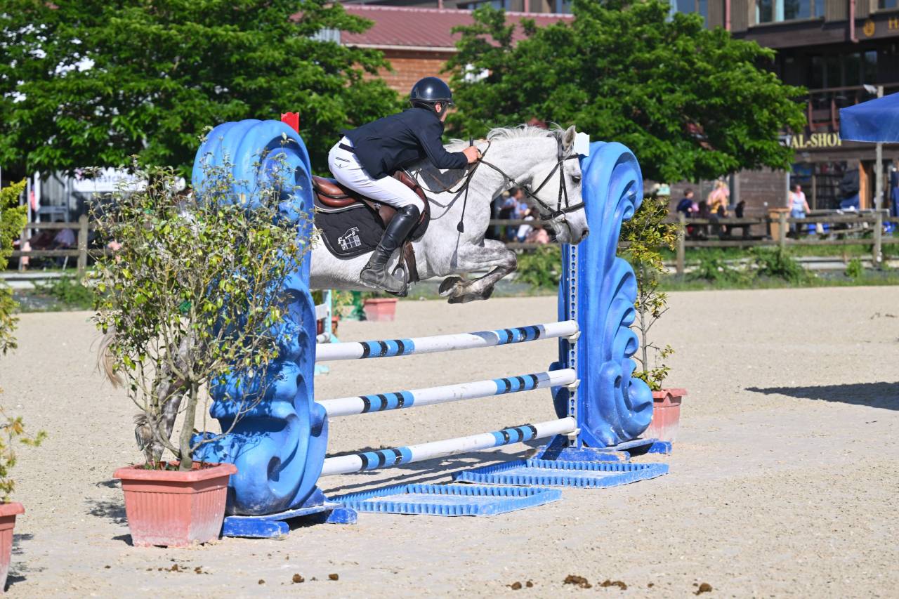 Poney en or &agrave; vendre 