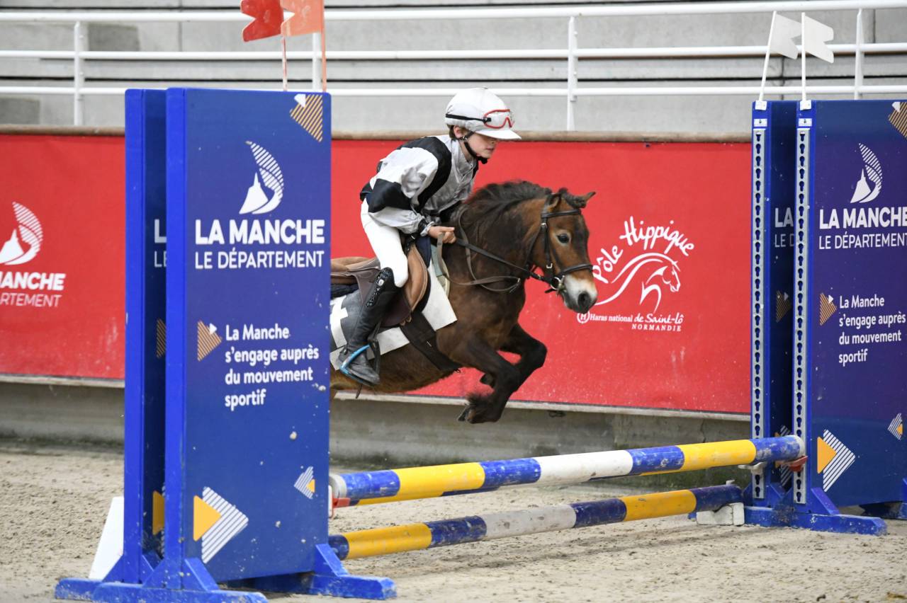 Ponette shetland PP (CSO/equifun)
