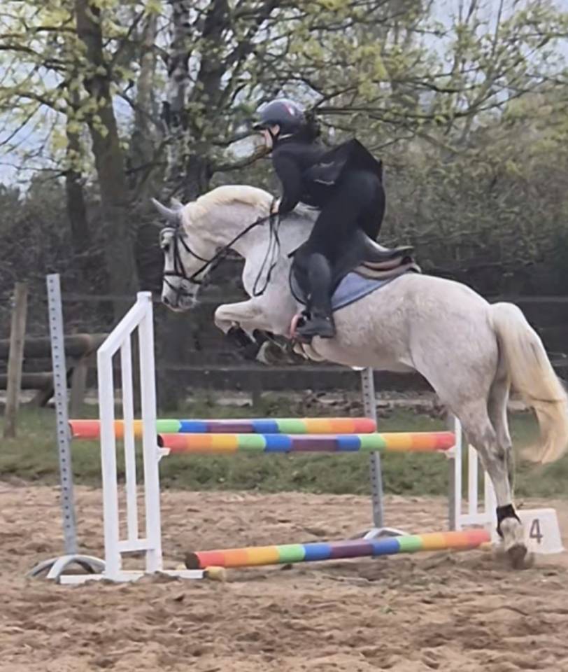 TOP poney pour As cce/cso/dress
