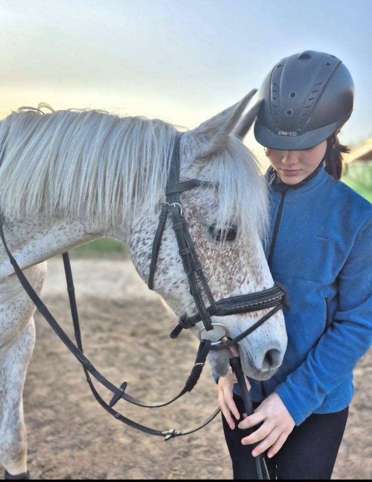 TOP poney pour As cce/cso/dress