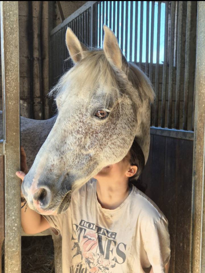 TOP poney pour As cce/cso/dress