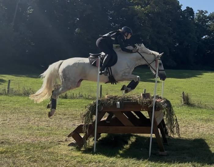 TOP JUMENT 7 ANS CLASS&Eacute;E AMATEUR 1 