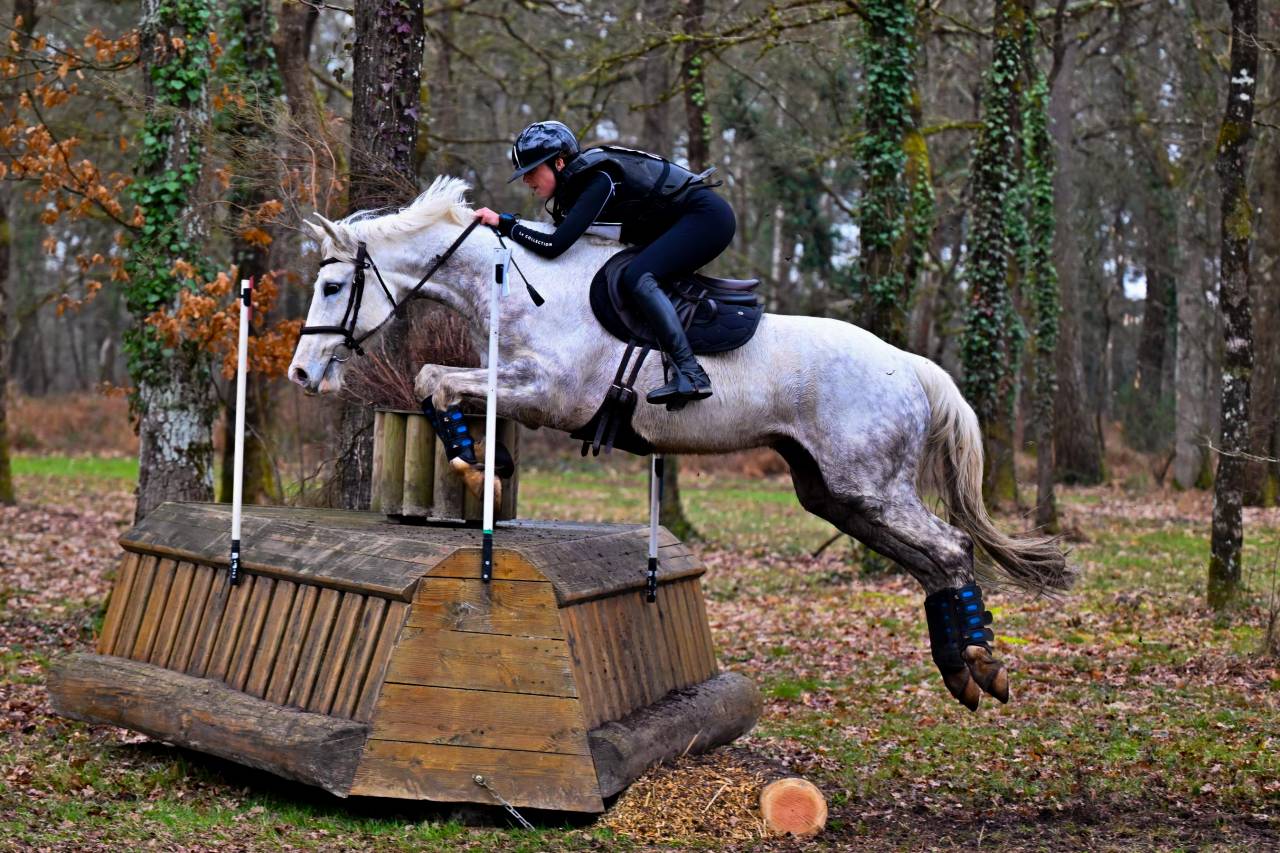 TOP JUMENT 7 ANS CLASS&Eacute;E AMATEUR 1 