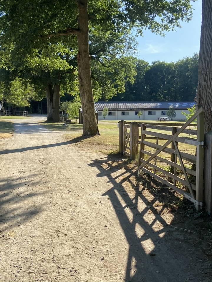Enseignant(e) d'&eacute;quitation Remplacement cong&eacute; maternit&eacute;