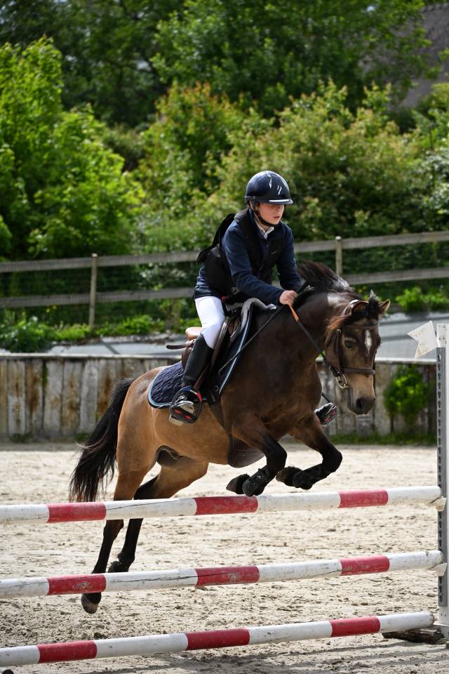 Poney de sport PFS