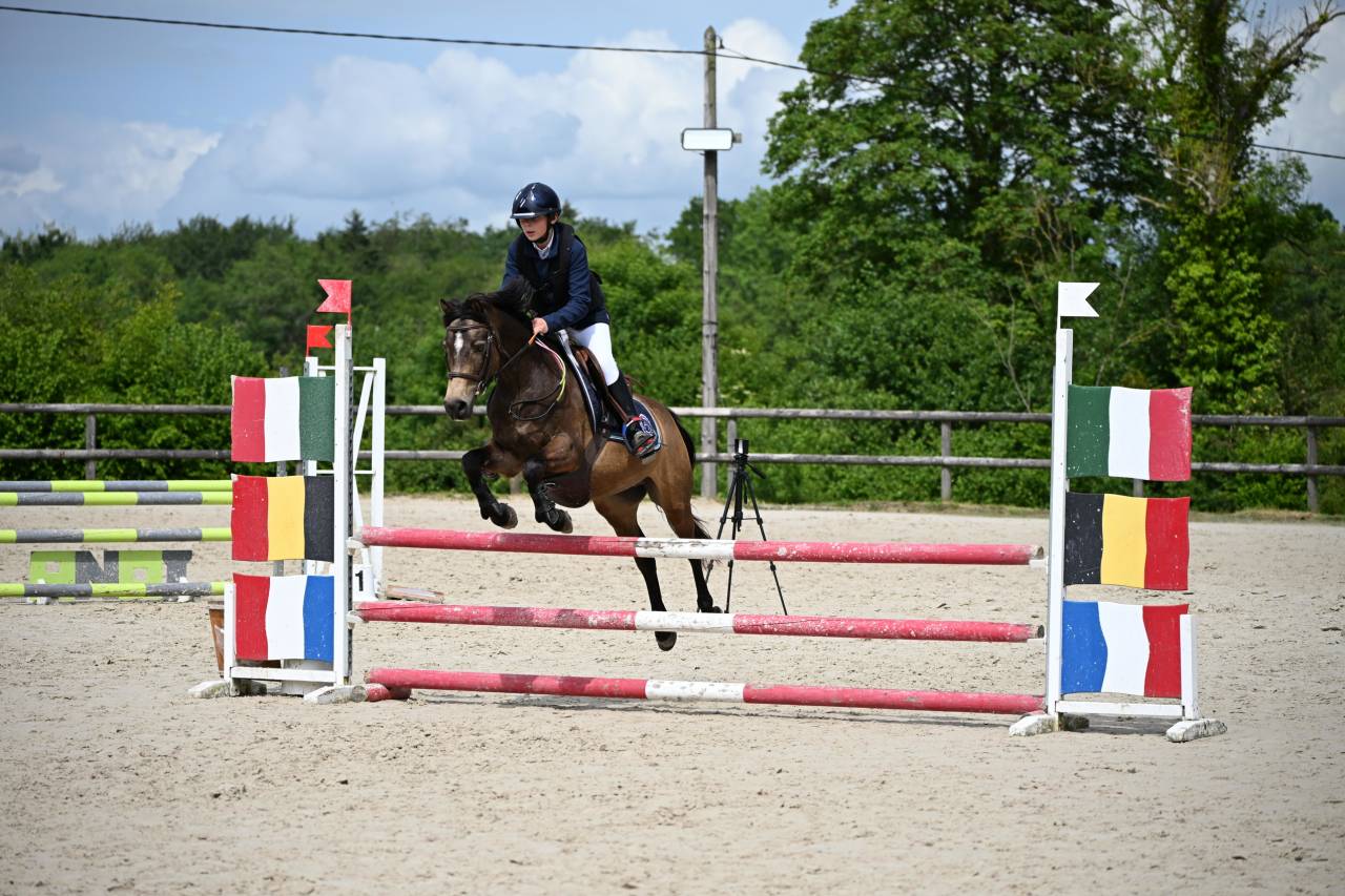Poney de sport PFS