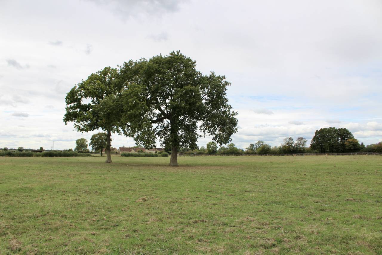 ? Pension Pr&eacute; & Pr&eacute;/Box dans l&rsquo;Orne ?