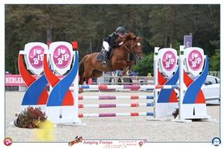 PONEY DE SPORT NIVEAU AS 