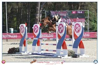 PONEY DE SPORT NIVEAU AS 