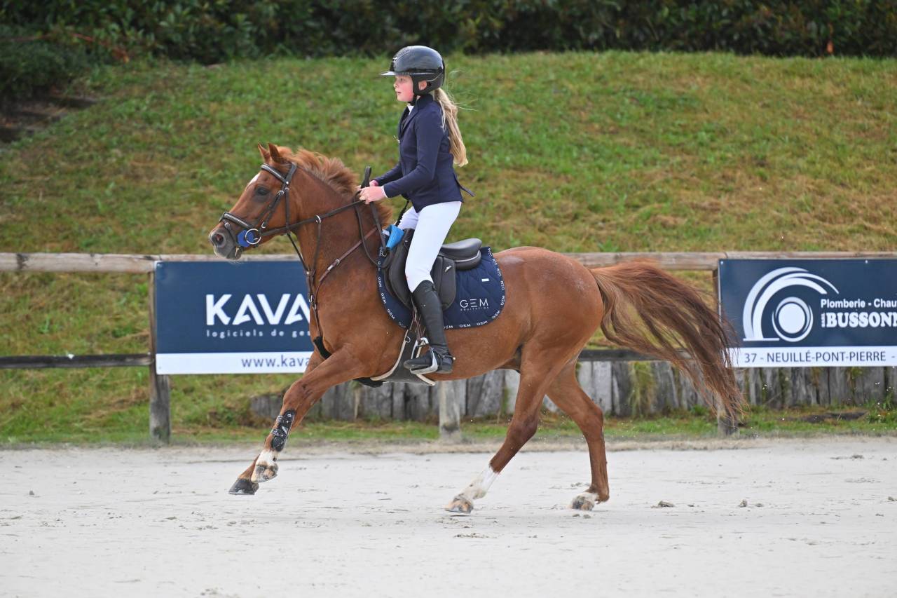PONEY DE SPORT NIVEAU AS 