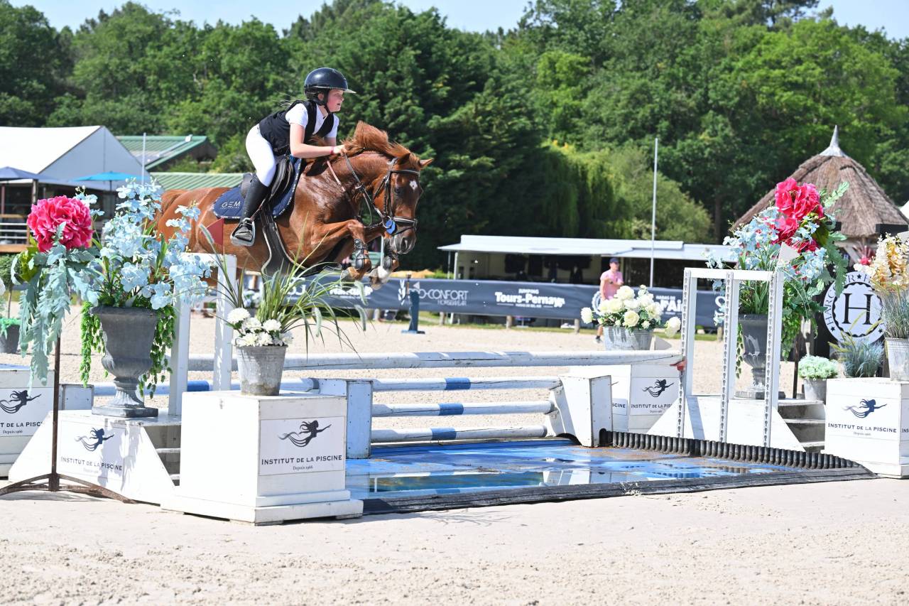 PONEY DE SPORT NIVEAU AS 