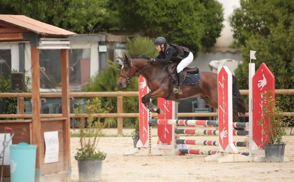 Poney D 10 ans &agrave; vendre ou &agrave; louer 