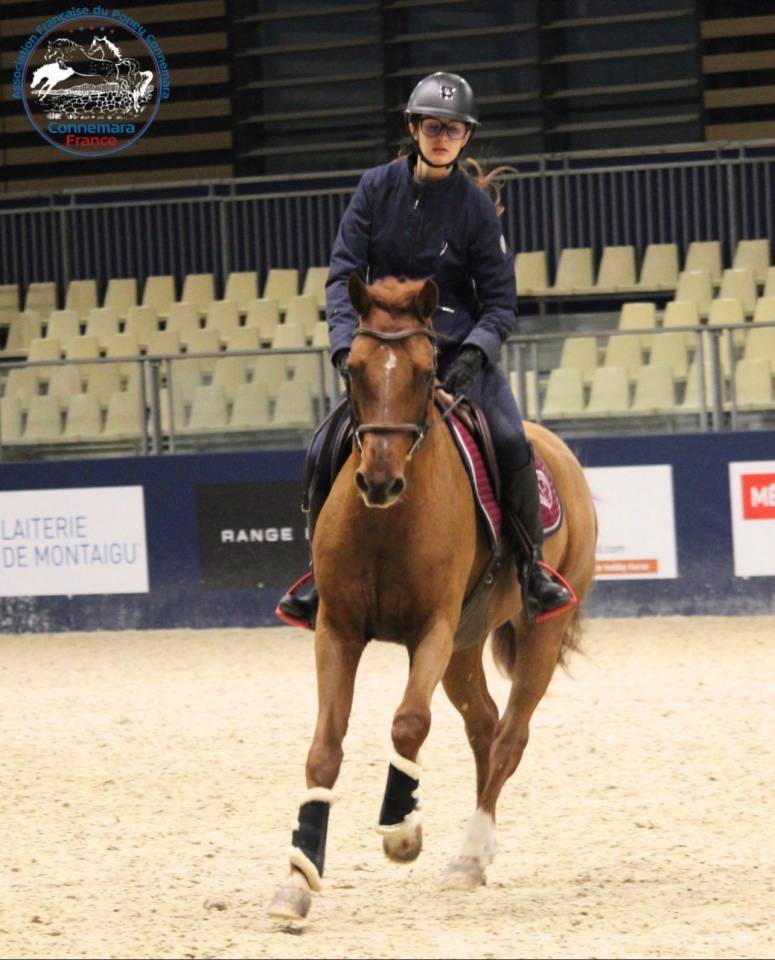 Top poney de sport