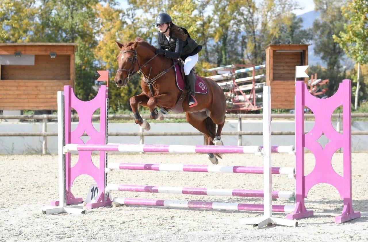 Top poney de sport