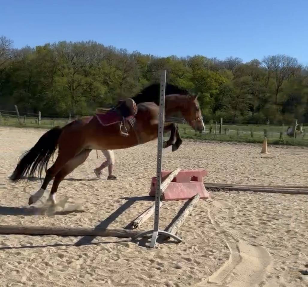 Ponette 3 ans