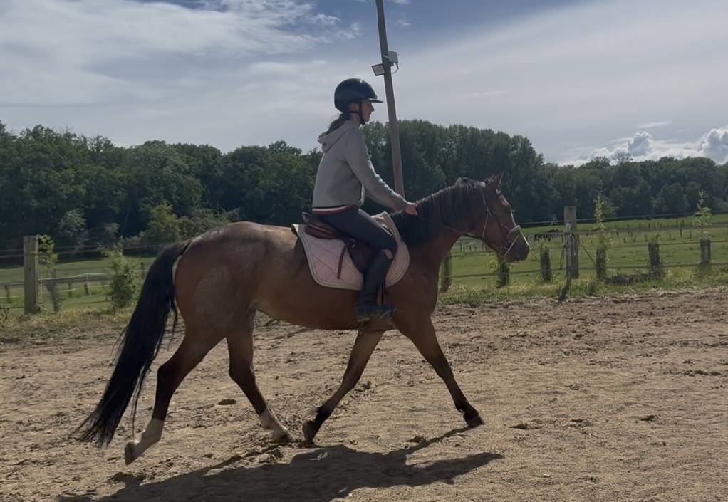 Ponette 3 ans