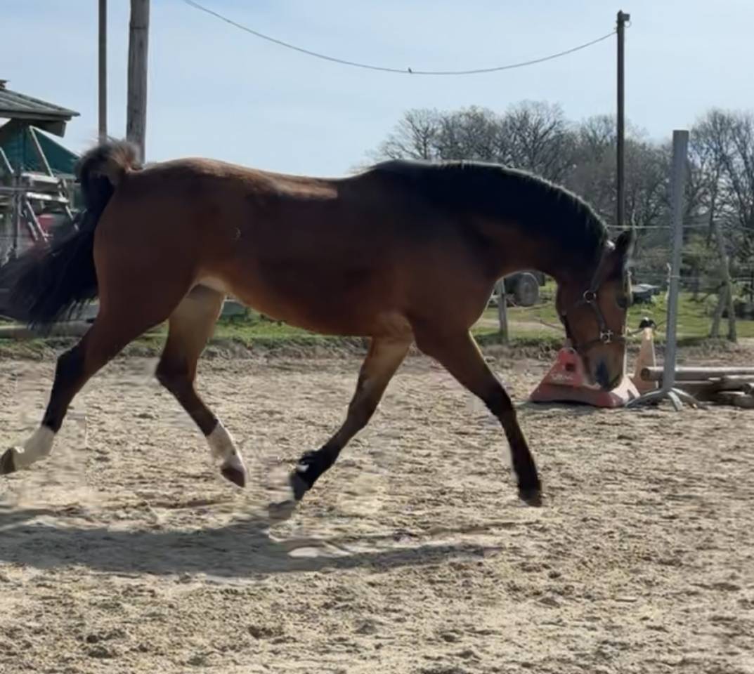 Ponette 3 ans