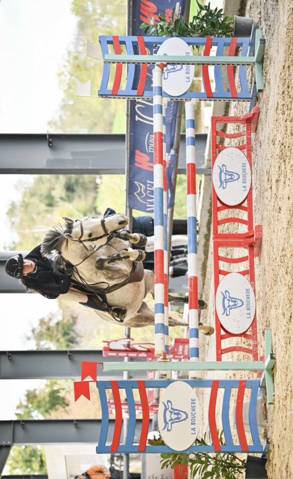 poney d&rsquo; AS 2 &agrave; vendre 