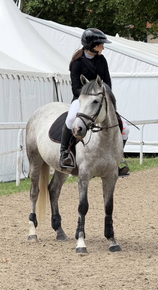 poney d&rsquo; AS 2 &agrave; vendre 