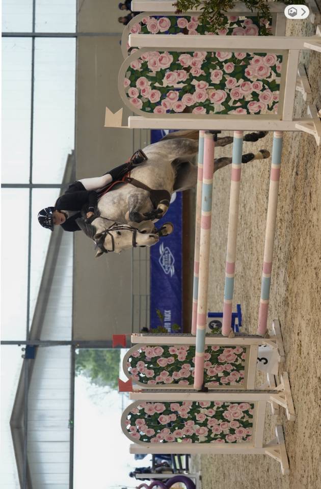 poney d&rsquo; AS 2 &agrave; vendre 