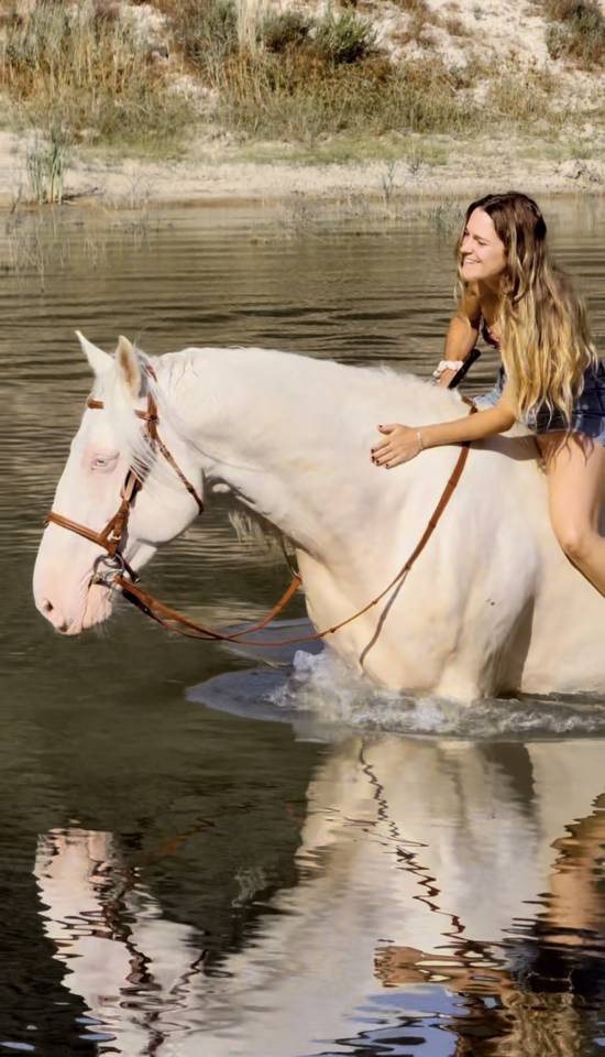 Cheval en demie pension